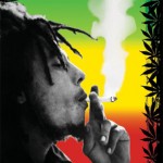 Foto del perfil de Michael Olaya